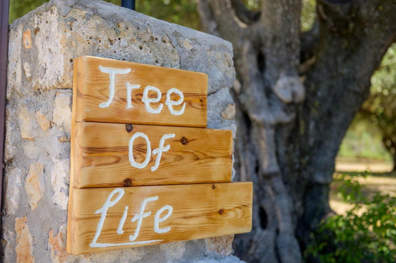 Tree Of Life Villa Valerianos ภายนอก รูปภาพ