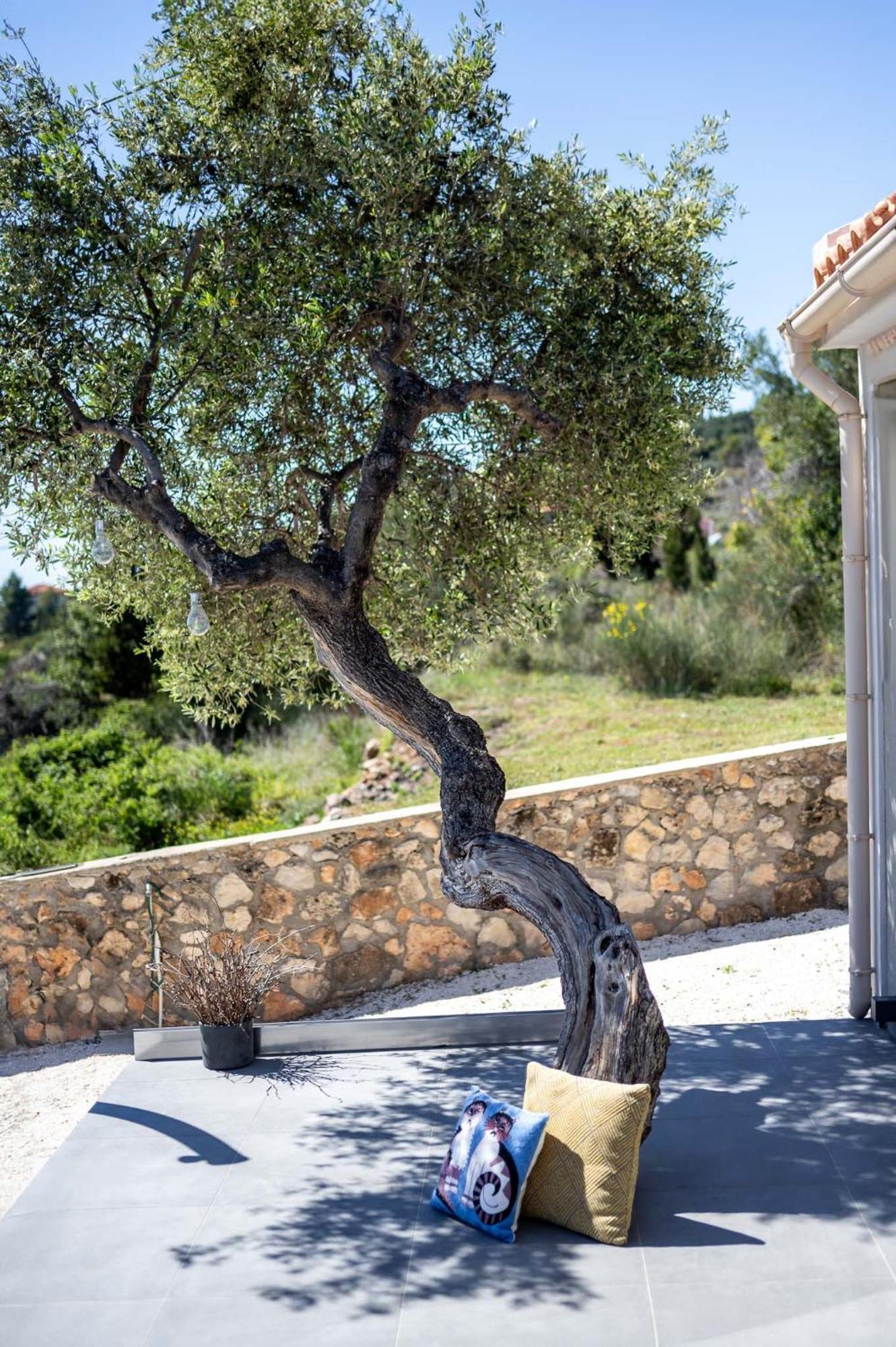 Tree Of Life Villa Valerianos ภายนอก รูปภาพ